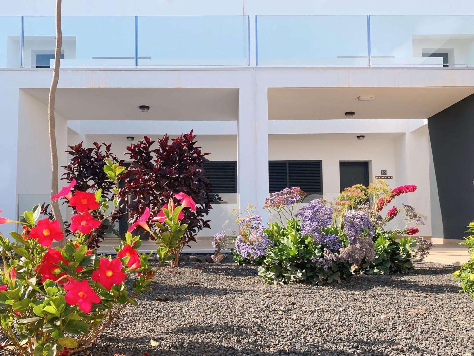 Fuerte Calma Luxury Fuerteventura Apartment