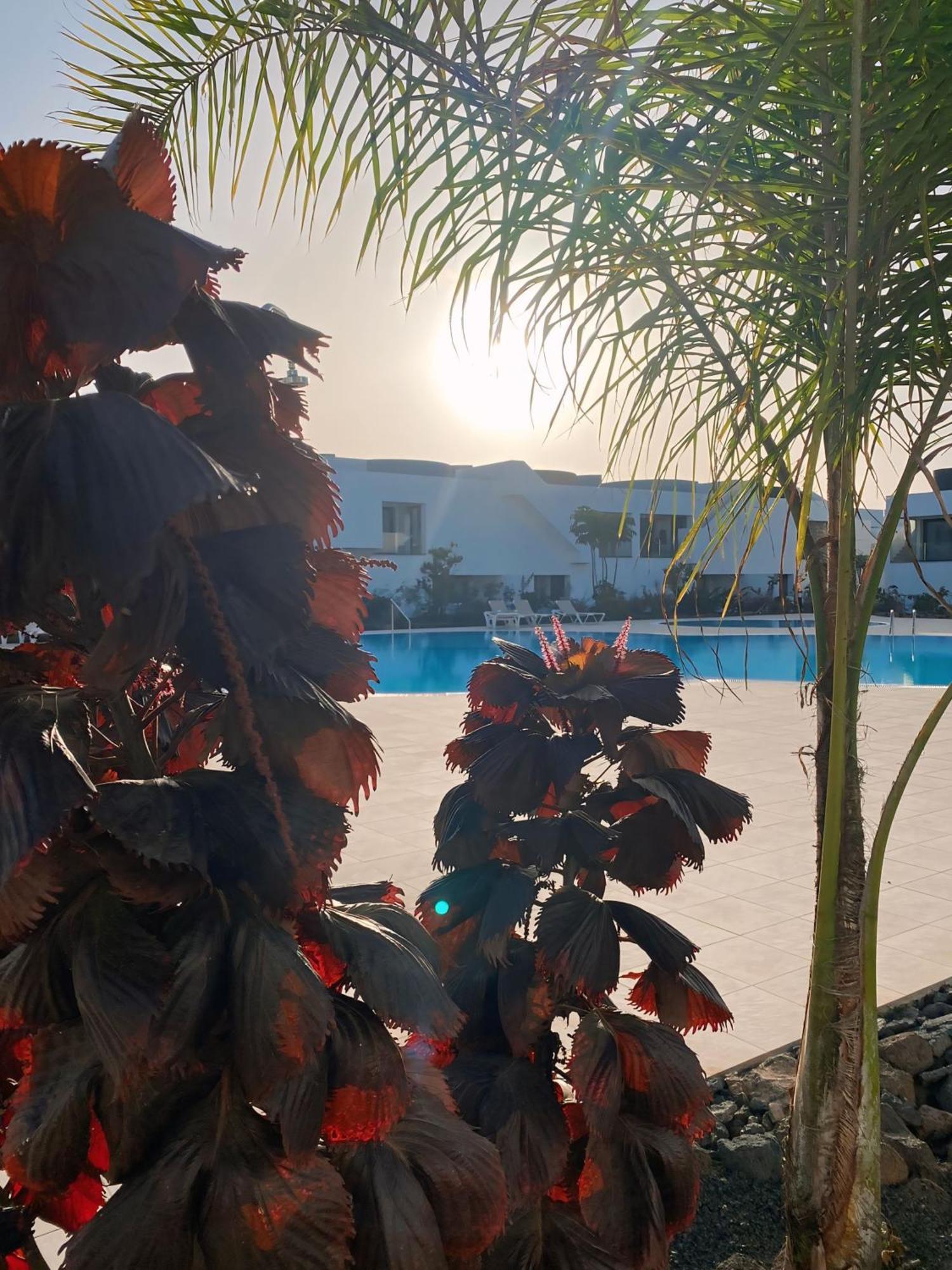 Fuerte Calma Luxury Fuerteventura Apartment
